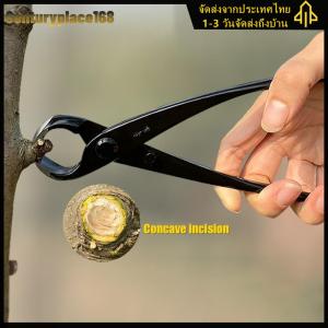 คีมจมูกกลมกระถางต้นไม้ Knots คีมตัดแต่งกิ่งพืชเครื่องตัด Pruner สาขา