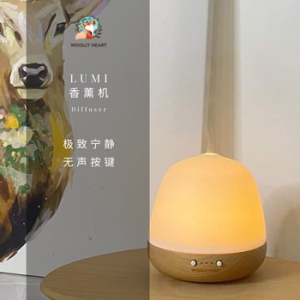 Lumi Ceramic Diffuser 陶瓷香薰机扩香精油