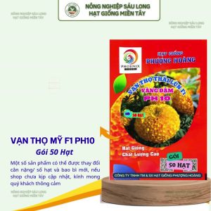 Gói 50 Hạt Vạn Thọ Thái Lùn F1 PH10 – Vàng Đậm