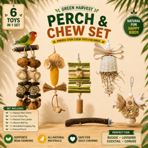 Bird Toy | Parrot Toy Sets – Climbing  Chew Toys Foraging  Cuttle Fish bone | Lovebird Conure Cockatiel