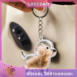 【LAKEBAO】 กระเป๋าใส่ของห้อยคอสำหรับเก็บขนสุนัขกล่องใส่เครื่องประดับสำหรับสัตว์เลี้ยงจี้รูปทรงแคปซูลของขวัญของที่ระลึกสำหรับสุนัข
