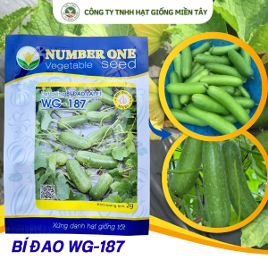 NUMBER ONE WG - 187 giống BÍ ĐAO LAI F1 / GÓI 2GR