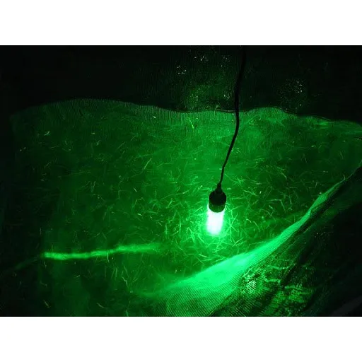 %E3%80%90%E0%B8%A1%E0%B8%B2%E0%B8%96%E0%B8%B6%E0%B8%87%E0%B9%83%E0%B8%99%203%20%E0%B8%A7%E0%B8%B1%E0%B8%99%E3%80%91LED%20%E0%B8%8A%E0%B8%B8%E0%B8%94%E0%B8%8A%E0%B8%B1%E0%B9%89%E0%B8%99%E0%B9%83%E0%B8%99%E0%B8%9A%E0%B8%B2%E0%B8%87%E0%B9%80%E0%B8%9A%E0%B8%B212V%20%E0%B8%81%E0%B8%B1%E0%B8%99%E0%B8%99%E0%B9%89%E0%B8%B3%E0%B8%AA%E0%B8%B3%E0%B8%AB%E0%B8%A3%E0%B8%B1%E0%B8%9A%E0%B8%95%E0%B8%81%E0%B8%9B%E0%B8%A5%E0%B8%B2%E0%B9%83%E0%B8%95%E0%B9%89%E0%B8%99%E0%B9%89%E0%B8%B3%E0%B9%80%E0%B8%A3%E0%B8%B7%E0%B8%AD%E0%B9%81%E0%B8%AA%E0%B8%87%E0%B8%81%E0%B8%A5%E0%B8%B2%E0%B8%87%E0%B9%81%E0%B8%88%E0%B9%89%E0%B8%87%E0%B8%AA%E0%B8%B5%E0%B8%82%E0%B8%B2%E0%B8%A7%E0%B8%AA%E0%B8%B5%E0%B9%80%E0%B8%82%E0%B8%B5%E0%B8%A2%E0%B8%A7%E0%B8%AA%E0%B8%B5%E0%B8%9F%E0%B9%89%E0%B8%B2180%20126LEDs%20%E0%B9%84%E0%B8%9F%20-%20Image%203