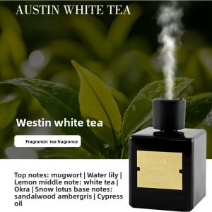 [SG In STOCK]Auto-spray Aromatherapy Diffuser Flameless Fragrance Diffuser Hotel Home Living Room Scent Essential Oil Air Freshener