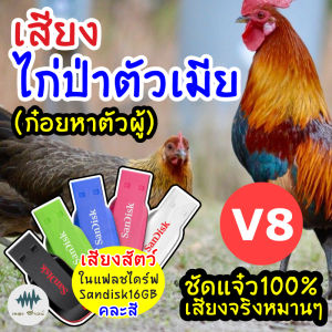 เสียงไก่ป่าตัวเมีย V.8 (ก๋อยหาตัวผู้) เมม/แฟลชไดร์ฟเสียงไก่ป่าตัวเมีย V.8 ชัดแจ๋ว 100% ไม่มีโฆษณาแทรก มีเก็บเงินปลายทาง (MP3 เสียงต่อสัตว์)