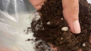 ดินสูตร 5 (ดินกัญ.. ดินชำ ไม้ที่ต้องการดูแลพิเศษ) บรรจุ 5 กก.