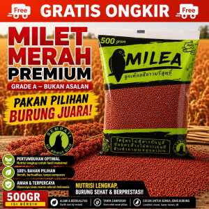 SEMPATI Milet Merah Biji Millet Merah Pakan Makanan Burung Perkutut Lovebird Parkit Kenari Ayam Hamster Premium Grade A Biji Pilihan Pakan Burung Hias Pakan Ternak Nutrisi Tinggi Favorit Peternak