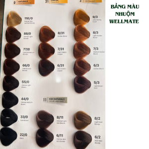 Thuốc nhuộm tóc Argan Collagen Wellmate màu thời trang nhuộm cân bằng nhuộm phủ bạc 100ml