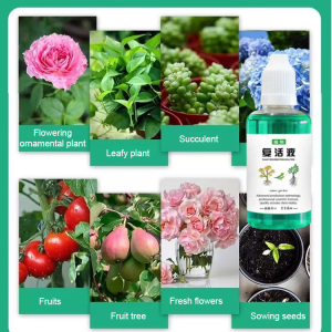 Botanical Flower Resurrection Solution Rapid Enhancement of Activity Plant Restoration Fluid Nourish