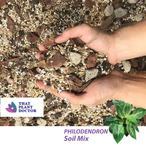 Philodendron Soil Mix (4L / 1.2KG) Lazada