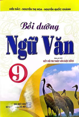 Bồi Dưỡng Ngữ Văn Lớp 9 - Bám Sát SGK: Kết Nối Tri Thức Với Cuộc Sống