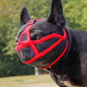 PETPARADIS Anti-biting Pet Dog  Adjustable Anti-barking Bulldog  Pet Supplies Prevent Accidental Eating Pet Dog Muzzles Walking The Dog