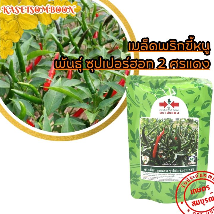 เมล็ดพริกขี้หนูซุปเปอร์ฮอท 2 F1 ตราศรแดง ต้นโตไว ลูกดก