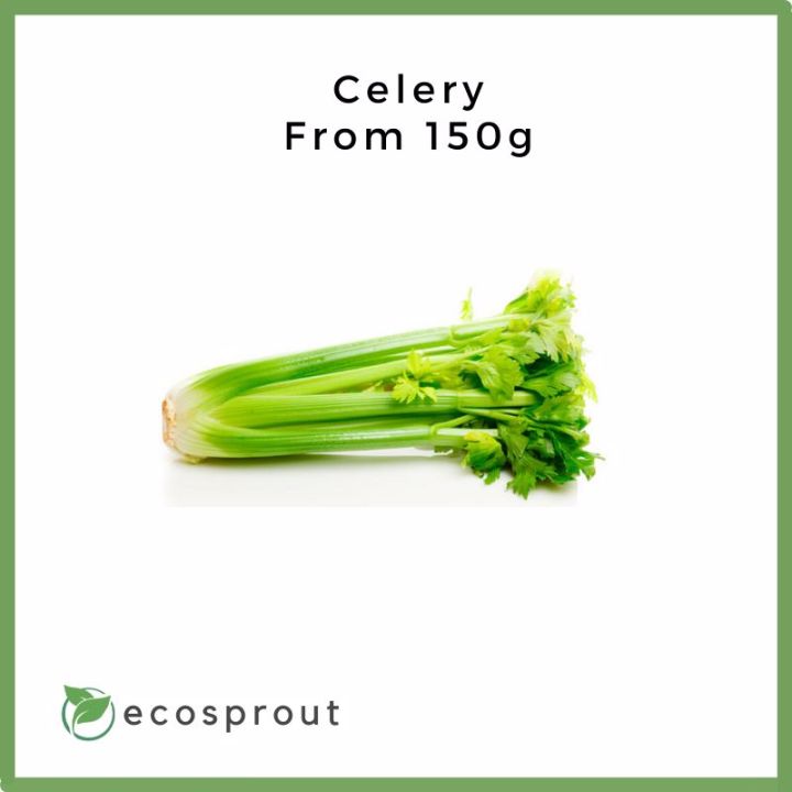 Fresh Celery 150g 300g Fresh Herbs Manila Lazada PH