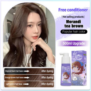 Bubble Hair Dye Plant Foam Hair Color No Bleach At Home DIY Hair Dye 500ml Long Lasting Gentle Scalp Safe