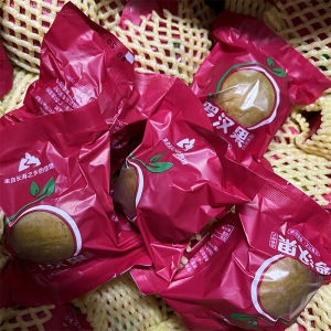 หล่อฮังก๊วยสีทอง  1ลูก-5ลูก หล่อฮังก๊วยอบแห้ง เกรดพรีเมี่ยม หล่อฮังก้วย รสชาติธรรมชาติ 金罗汉果 หวานอร่อย Golden tea