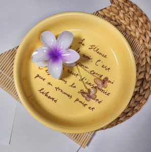 Abadi Mall Jedai Rambut Aesthetic 8cm Jepitan Acrylic Premium Bunga Kamboja jurai