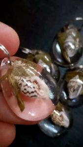 จี้หอยสังข์ลายเสือแท้ จากธรรมชาติ ใส่ใบหนาดใบทับทิม ป้องกันภัยอันตราย พกไปงานศพหรือป่าช้าได้