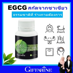 กิฟฟารีน ชาเขียว มัทฉะแท้ แคปซูล ชาเขียวสกัด giffarine matcha อีจีซีจี ลดพุง ไขมันส่วนเกิน ไตรกลีเซอไรด์ เหมาะสำหรับคนพักผ่อนน้อย ร่างกายอ่อนเพลีย ของแท้ ปลอดภัย มี อย.