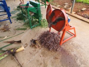 Máy băm chuối mịn.Máy xay tất cả cây chuối.Máy thái chuối nguyên cây