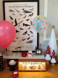 Bday vibes all day long Birthday Photo Frame Night Light Cute Japanese Style Figurine Decor Display Birthday Gift