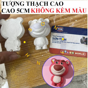 Tượng tô màu GẤU DÂU 2D tô tượng thạch cao (Không kèm màu) tượng trắng decor