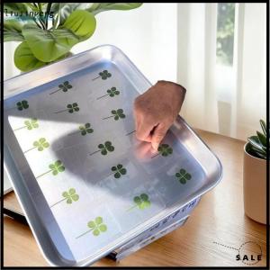 [liujinpeng] 1 5 10Pcs Lucky Clover Postcards Natural Grass Transparent Wishing Cards For Bookmarks