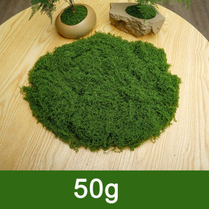 50/100g Artificial Green Plants Simulation Moss Grass Turf Lawn Artificial Moss Green Fake Plant for Home Garden Wall Decor Micro Landscape Decoration