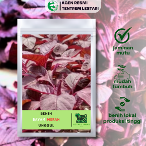 Benih Bayam Merah 15 gr Kotaku Hijau Unggul Nutrisi Tinggi Ribuan Biji