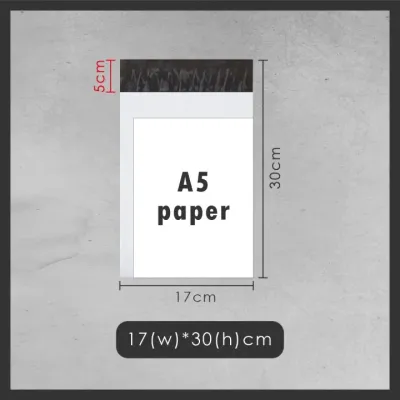 Without Pocket 100pcs Courier Bag Flyer Plastic Bag Parcel Bag Parcel Bag