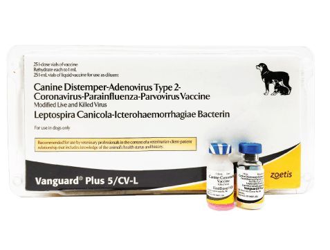 Zoetis Canine Parvo Vaccine VANGUARD PLUS 5CVL4(ALL IN ON 1DOSE At