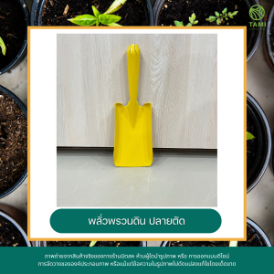 พลั่วพรวนดิน ปลายแหลม 7x27cm ปลายตัด 8x26cm สีเขียว สีเหลือง Shovel พลั่วทำสวน ช้อนพรวนดิน ช้อนปลูก พรั่ว ที่ตักดิน เสียม พลวนดิน ขุดดิน ทามิ Tami
