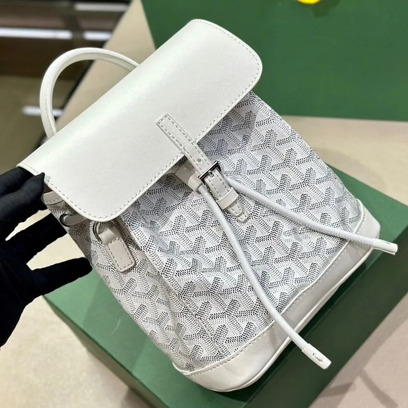 Goyard 2025 school bag