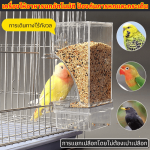 ความจุมาก เครื่องให้อาหารนกอัตโนมัติ ป้องกันการหกและกระเด็น ภาชนะบรรจุอาหาร เครื่องให้อาหารนก ทนทานต่อการใช้งาน เครื่องป้อนนกแก้วอัตโนมัติ