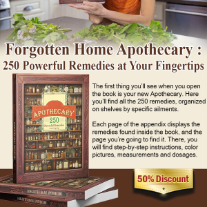 【A Book Must Have】Forgotten Home Apothecary Family Pharmacist: A Popular Science Book On Herbal Medicine Help  Broaden Horizons