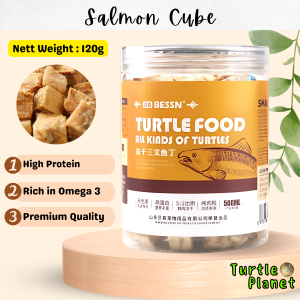 Premium Salmon Cube Turtle Food Makanan Kura Kura Hamster Turtle Snacks Turtle Salmon Treats Healthy Turtle Diet 三文鱼冻干