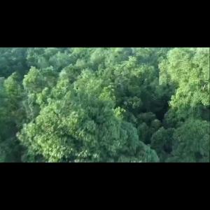 Solid Wood Bar Table for Home Use Living Room Partition Balcony Wall-Mounted Long Table and Chairs Milk Tea High Stool Table