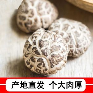 西峡大花菇无根干货农家特产干香菇剪脚冬菇菌菇花蘑菇新货Xixia big mushroom rootless dry goods farmers specialty dry aromayuluoo.my20240927