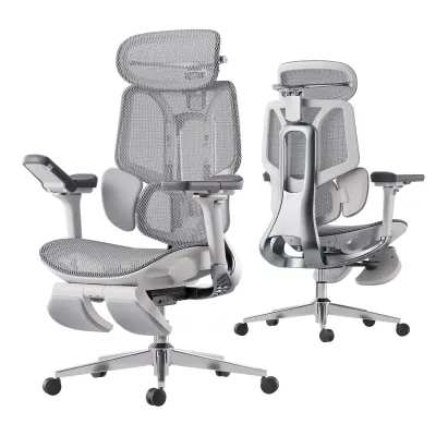HBADA E3 Pro 2026 Edition & E3 Pro Ergonomic Office Chair with 3-Zone Dynamic Lumbar Support
