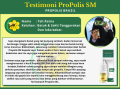 Obat Sakit Tenggorokan Kering, Obat Tenggorokan Kering, Obat Radang Tenggorokan Kering, Obat Tenggorokan Kering, Obat Tnggorokan Kering Dan Gatal, Dengan PROPOLIS SM 100% Herbal Alami Tanpa Efek Samping. 