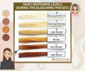 8.17 Milk Tea Ash Colour (Bremod Premium Series) 100ml. 
