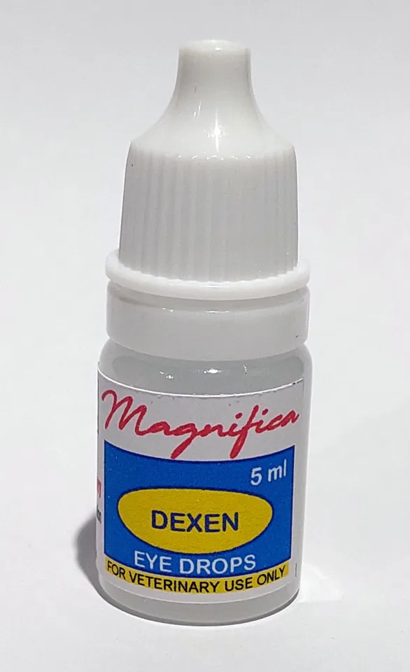 Magnifica DEXEN Dexamethasone Ciprofloxacin Eye Drops for Dogs Cats 5ml Lazada PH