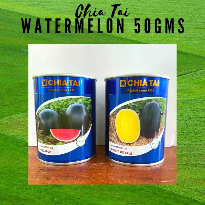 Chia Tai Watermelon Seeds Lazada PH
