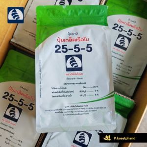 ปุ๋ยเกล็ด 25-5-5 เรือใบ ไข่มุก ขนาด 1 กก. ปุ๋ยNPK ไนโตรเจนสูง เร่งการเจริญเติบโต ใบเขียว พัฒนาราก ต้นแข็งแรง ต้านทานโรค