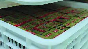 Instant fiber gummies Fiber Gummies The source of prebiotic gummies  OE M
