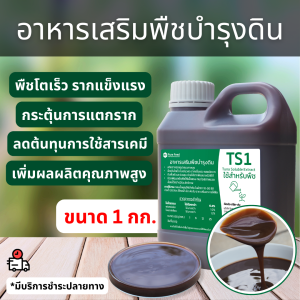 อาหารเสริมพืชบำรุงดิน สกัดจากปลาทูน่า ดินร่วนซุย ใบสวย พืชโตเร็ว Tuna Soluble Extract แกลลอน 1 กก