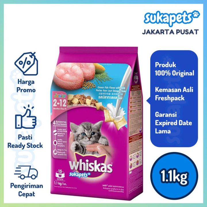 Whiskas Kitten Junior Ocean Fish Dry Food Makanan Kucing