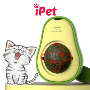 Viên cỏ CATNIP gắn tường hỗ trợ giảm stress giúp mèo tiêu búi lông hình gấu mèo - iPet Shop