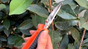 2/4Pcs Garden Pruning Shears Multifunctional Pruner Stainless Steel Blade for Trimming Gardening