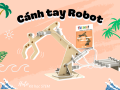 Đồ Chơi Cánh Tay Robot Thuỷ lực, STEM DIY. 